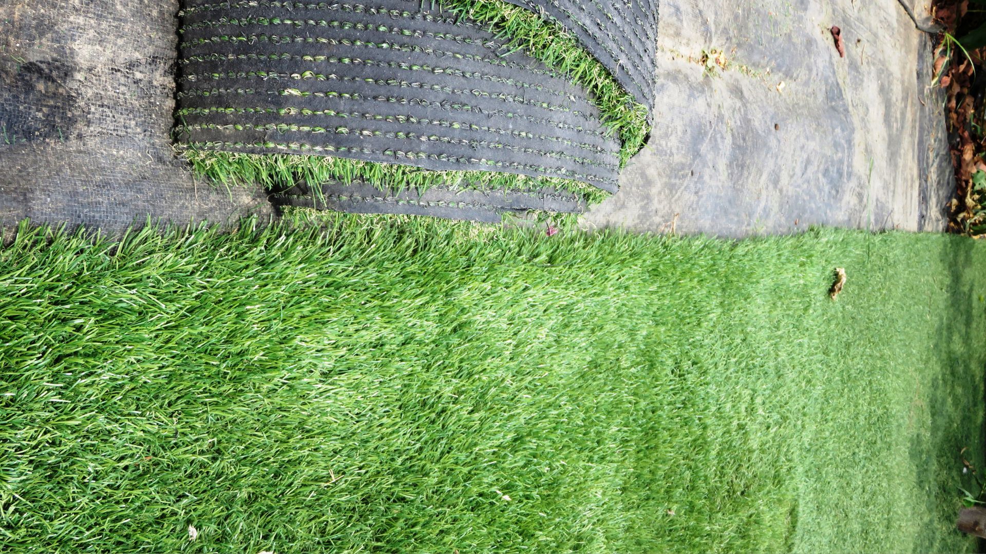 A close up of a grass covered wall